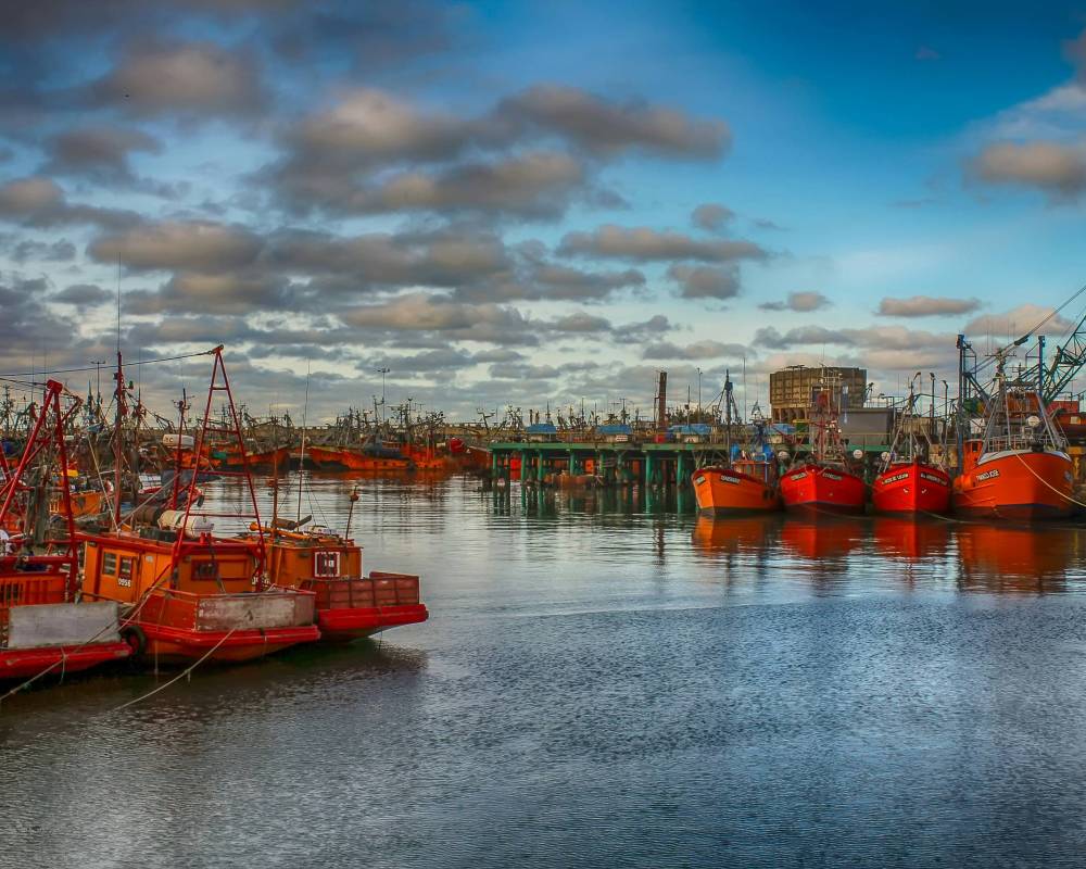 Best Ship Chandlers in Singapore